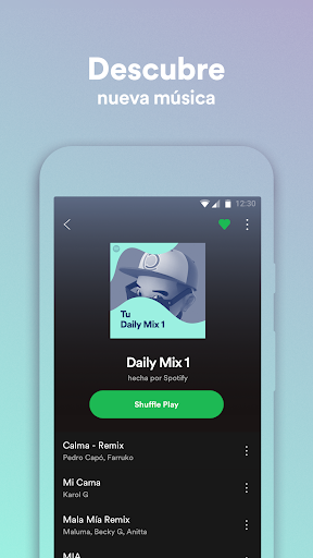 Spotify Lite PC