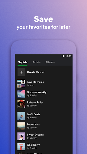 Spotify Lite پی سی