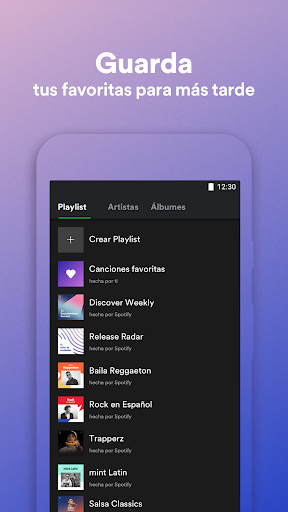 Spotify Lite PC