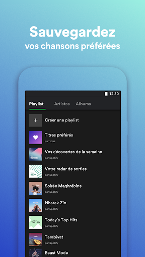 Spotify Lite PC