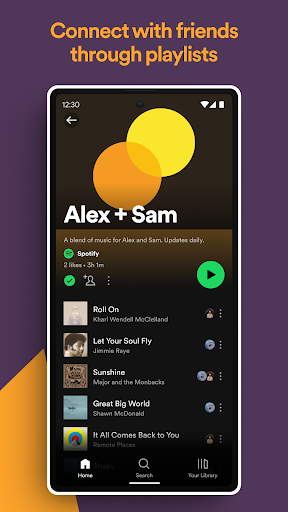 Spotify - Music and Podcasts PC