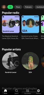Spotify - Müzik ve Podcast'ler PC