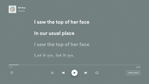komputer Spotify - Music and Podcasts