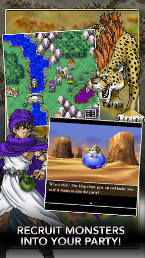 DRAGON QUEST V