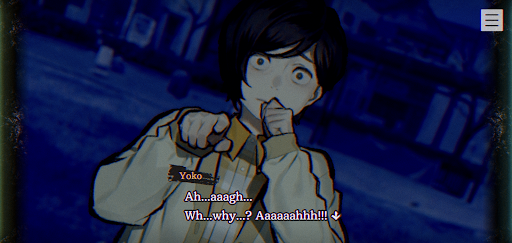 PARANORMASIGHT پی سی