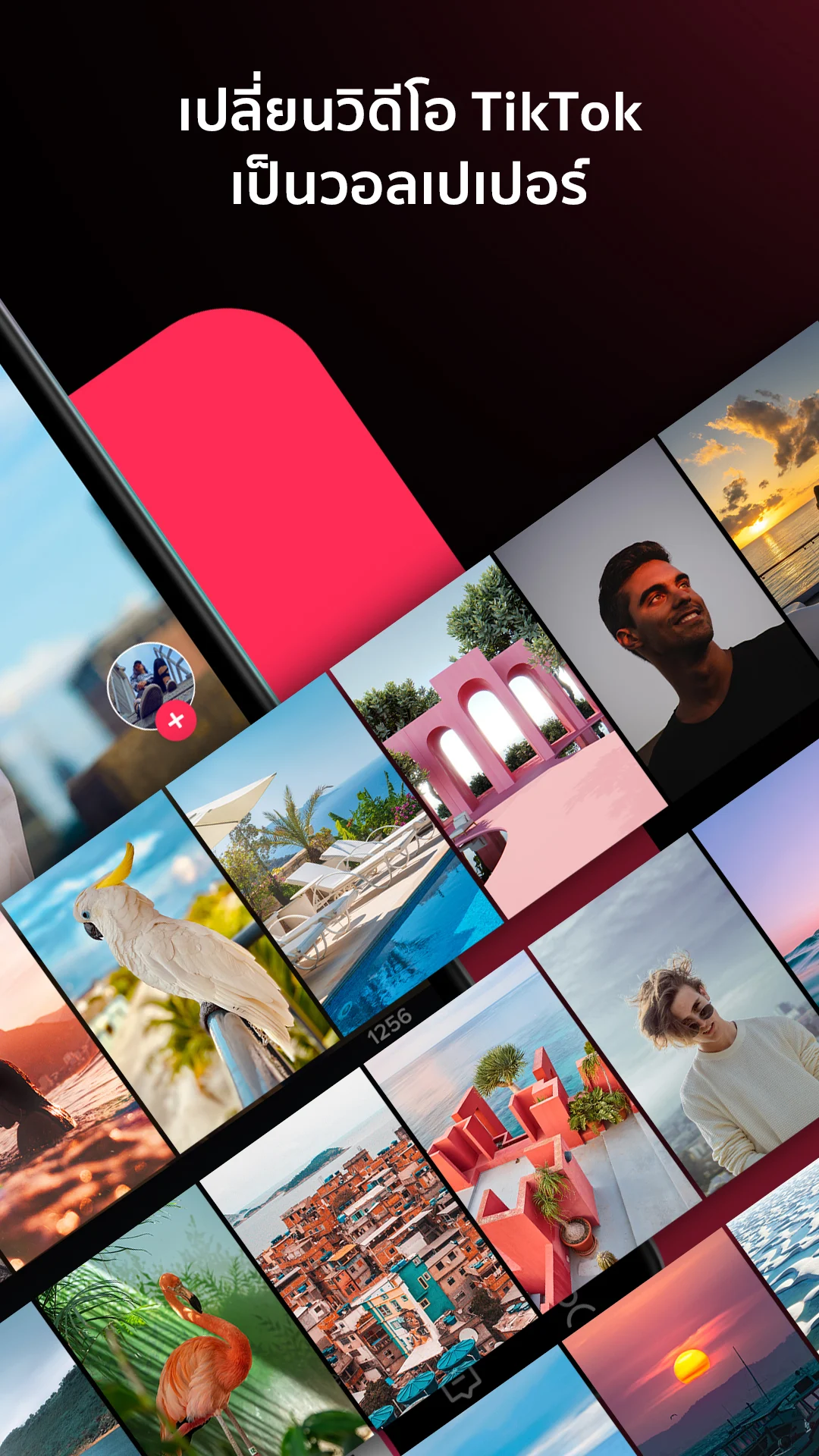 TikTok Wall Picture PC