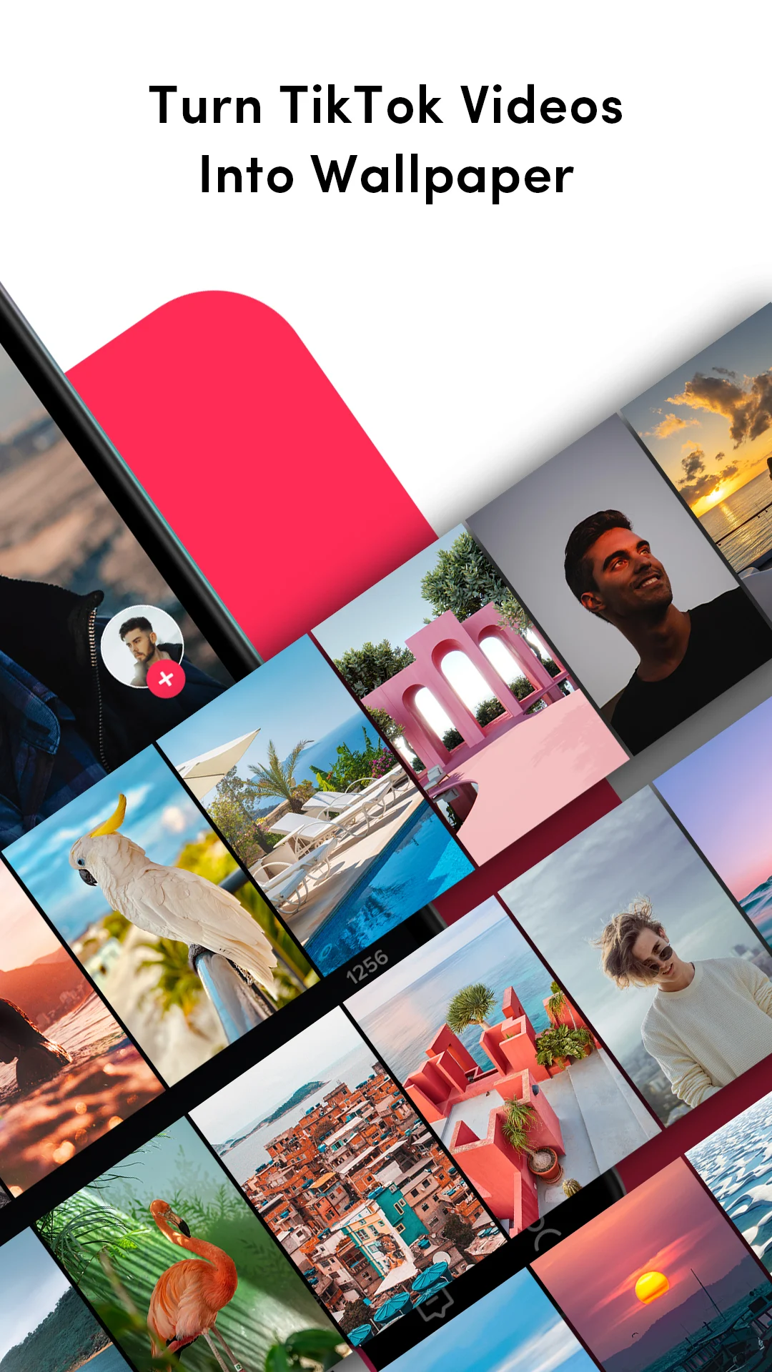 TikTok Wall Picture PC