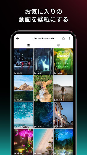 TikTok ダイナミック壁紙