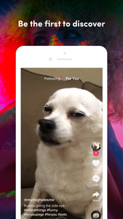 TikTok Lite - deprecated PC版