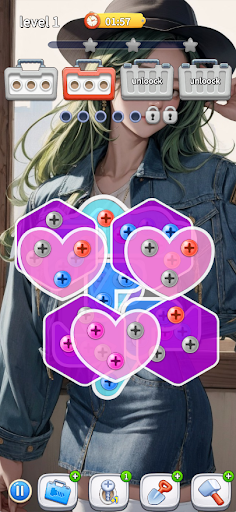 Screw Jam Puzzle PC
