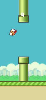 Flappy Turkish Bird پی سی