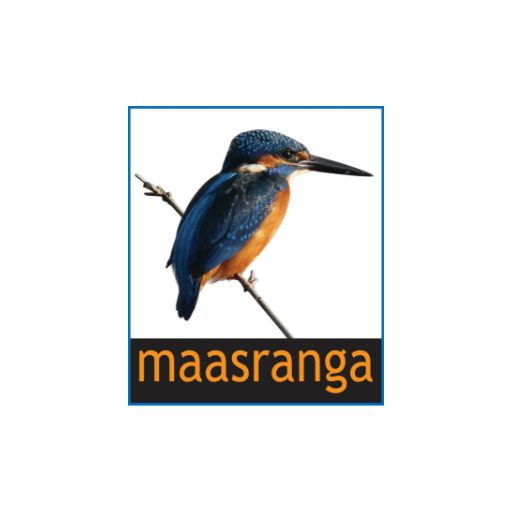 Maasranga Television পিসি