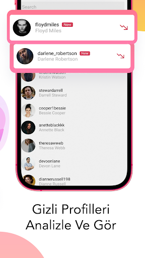 Stalk Gizli Profil Görme PC