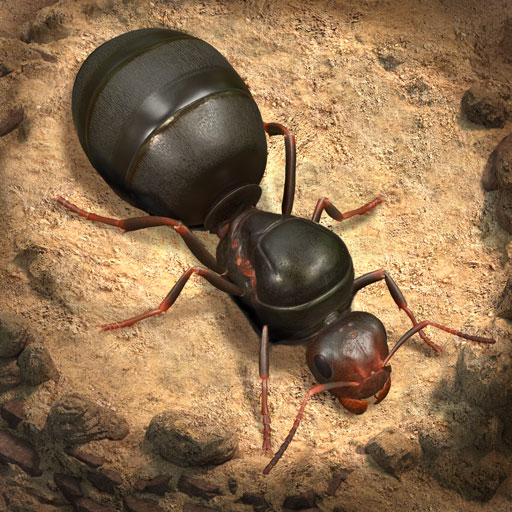 The Ants: Underground Kingdom الحاسوب