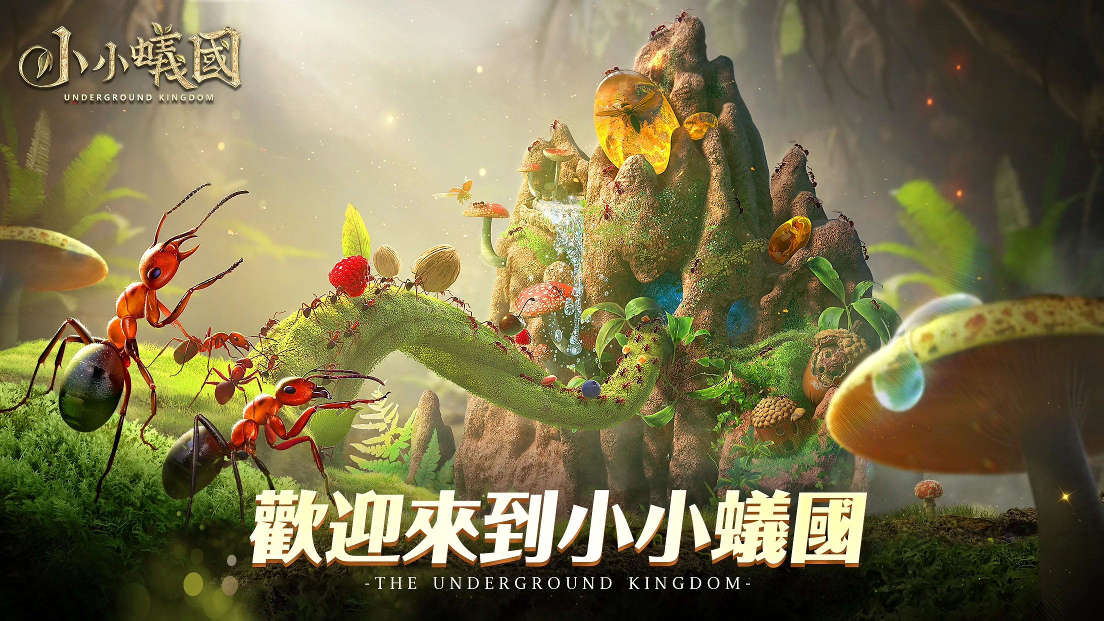 小小蟻國電腦版
