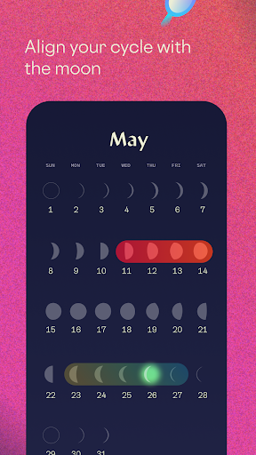 Stardust: Period & Pregnancy