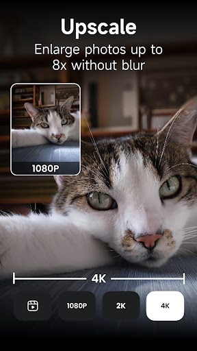 Neopix: AI Video Upscaler পিসি