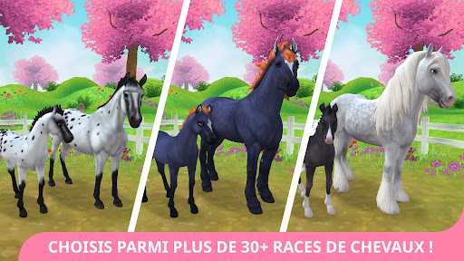 Star Stable Horses PC