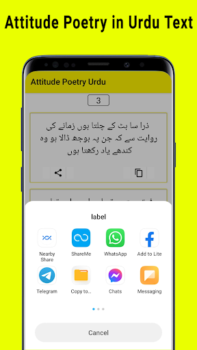 Attitude Poetry in Urdu Text