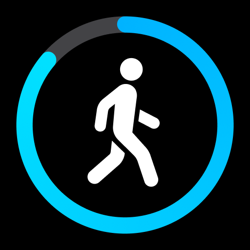 StepsApp Stappenteller PC