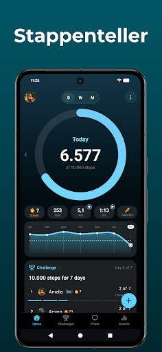StepsApp Stappenteller PC