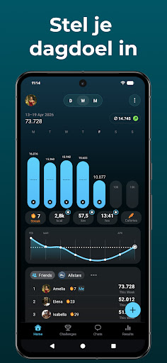 StepsApp Stappenteller PC