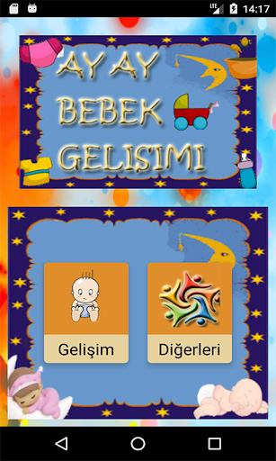 Bebek Gelişimi Ay Ay Detaylı PC