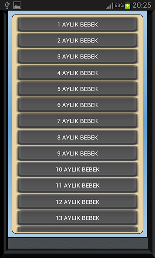 Bebek Gelişimi Ay Ay Detaylı PC