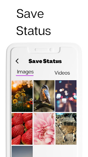 Video Downloader - Downloader
