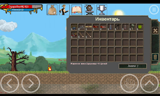 Gothic: ArnaLLiA - RPG platformer PC