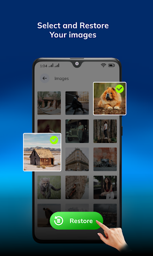 All File Recovery & Restore