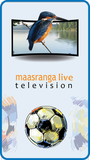 Maasranga TV - Cricket World Cup 2019 الحاسوب