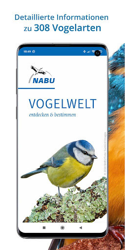 NABU Vogelwelt Vögel Bestimmen PC