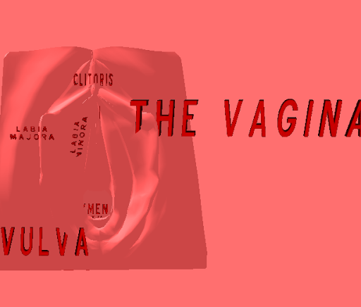Vagina 3D para PC