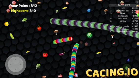 Snake Zone: Cacing.io Worm Mate Zone 2020