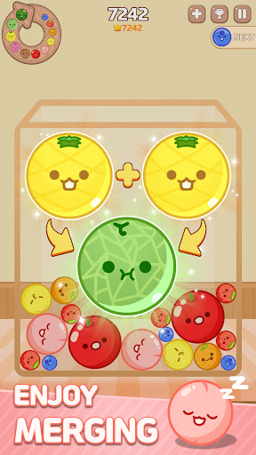 Melon Maker : Fruit Game PC