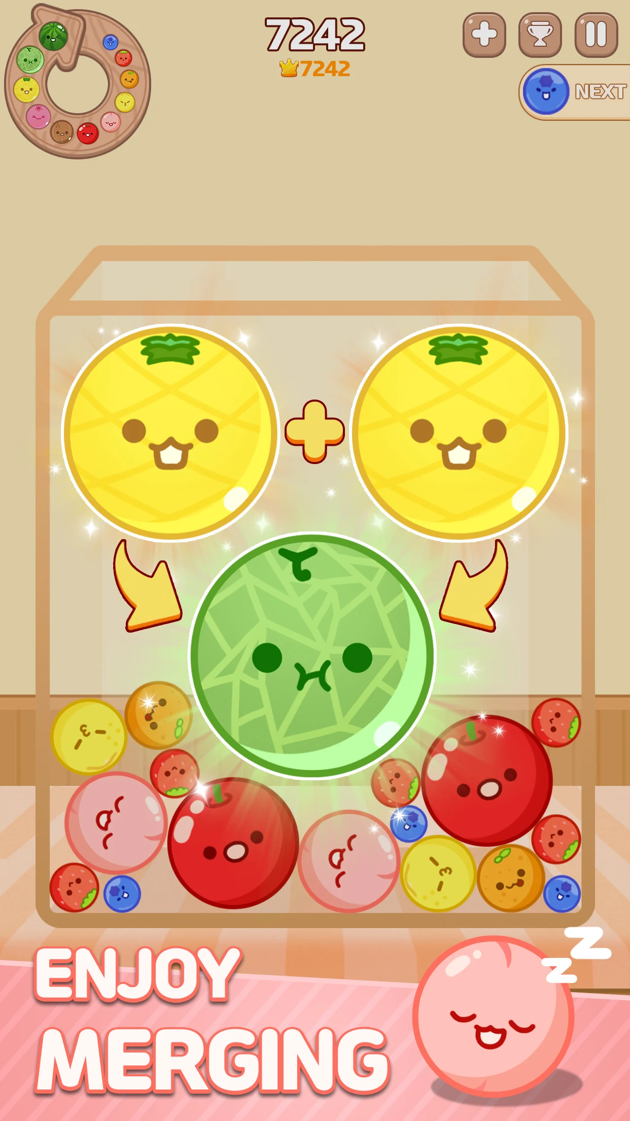 Melon Maker : Fruit Game PC