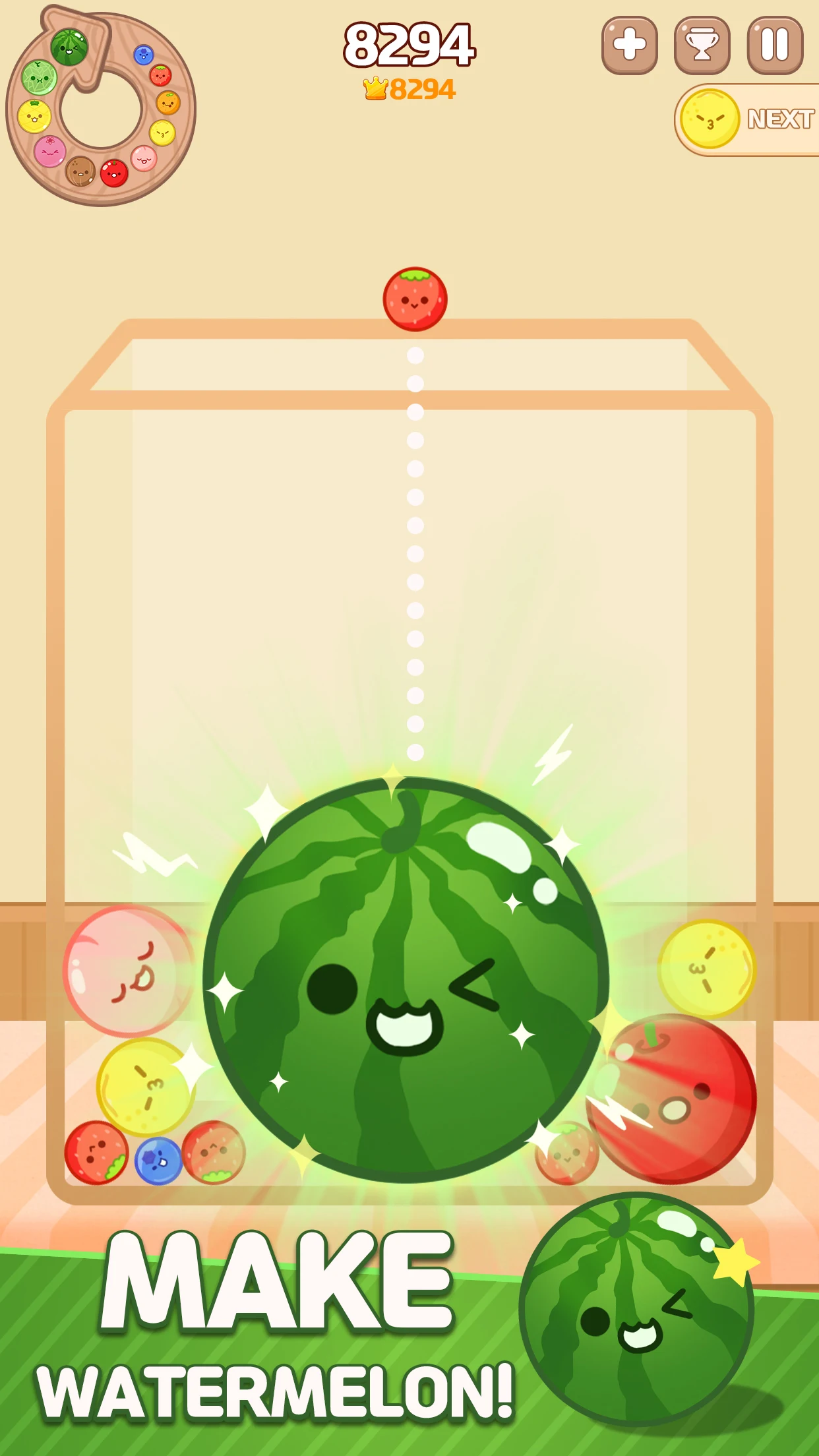 Melon Maker : Fruit Game PC