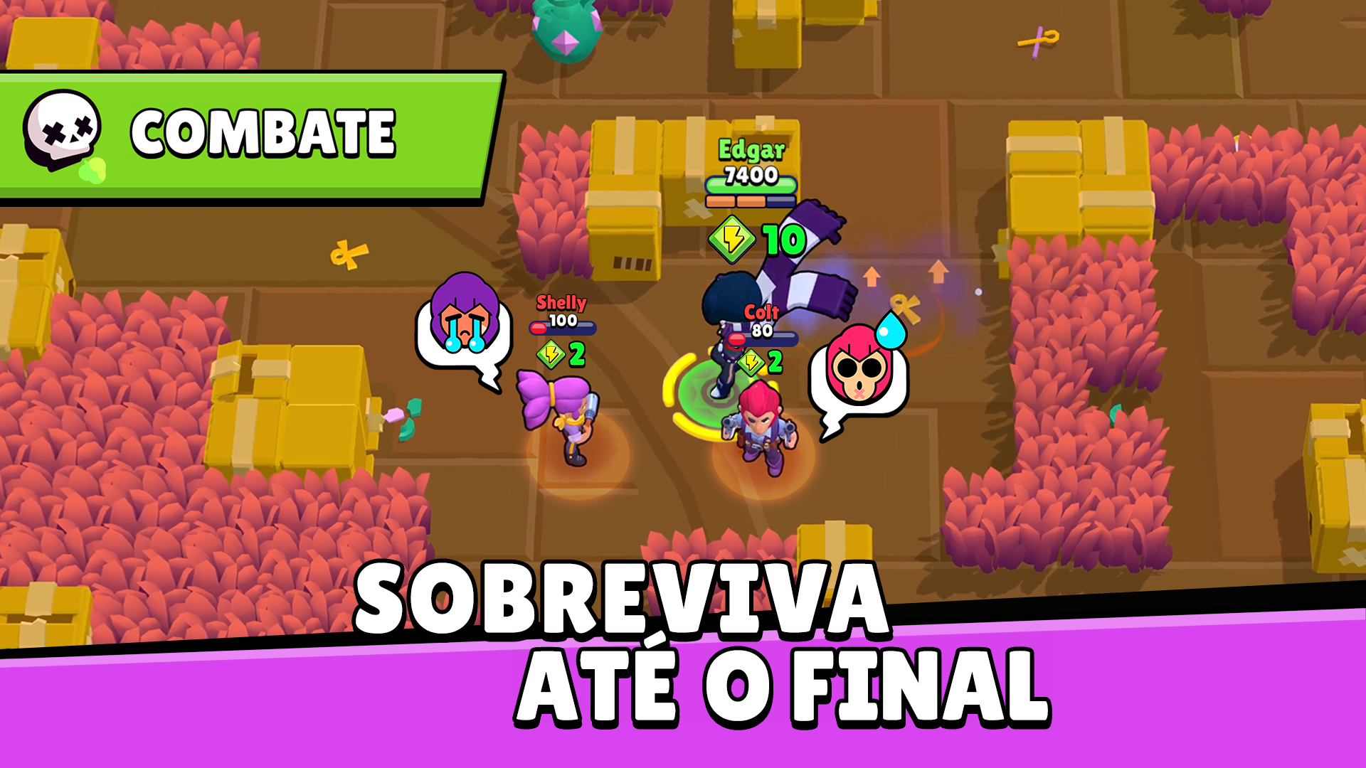 Brawl Stars para PC