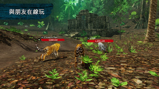 The Tiger電腦版