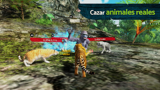 The Tiger PC