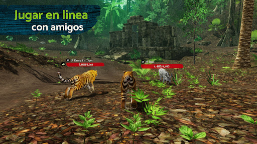 The Tiger PC