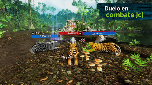 The Tiger PC