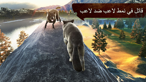 The Wolf
