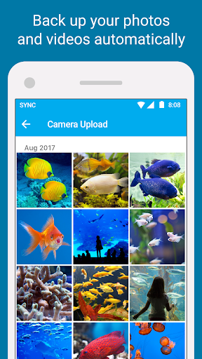 Sync - Secure cloud storage PC