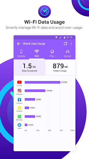 Check Internet Data Usage پی سی