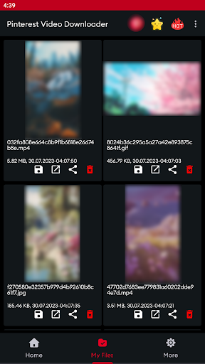 Video Downloader for Pinterest PC