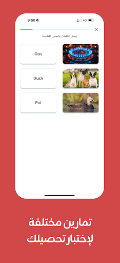 Taleek : Language lessons