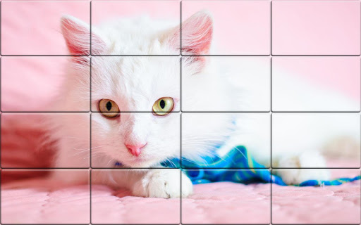 Tile Puzzle Cats PC