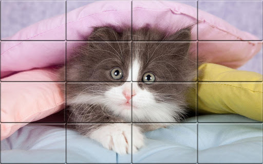 Tile Puzzle Cats PC